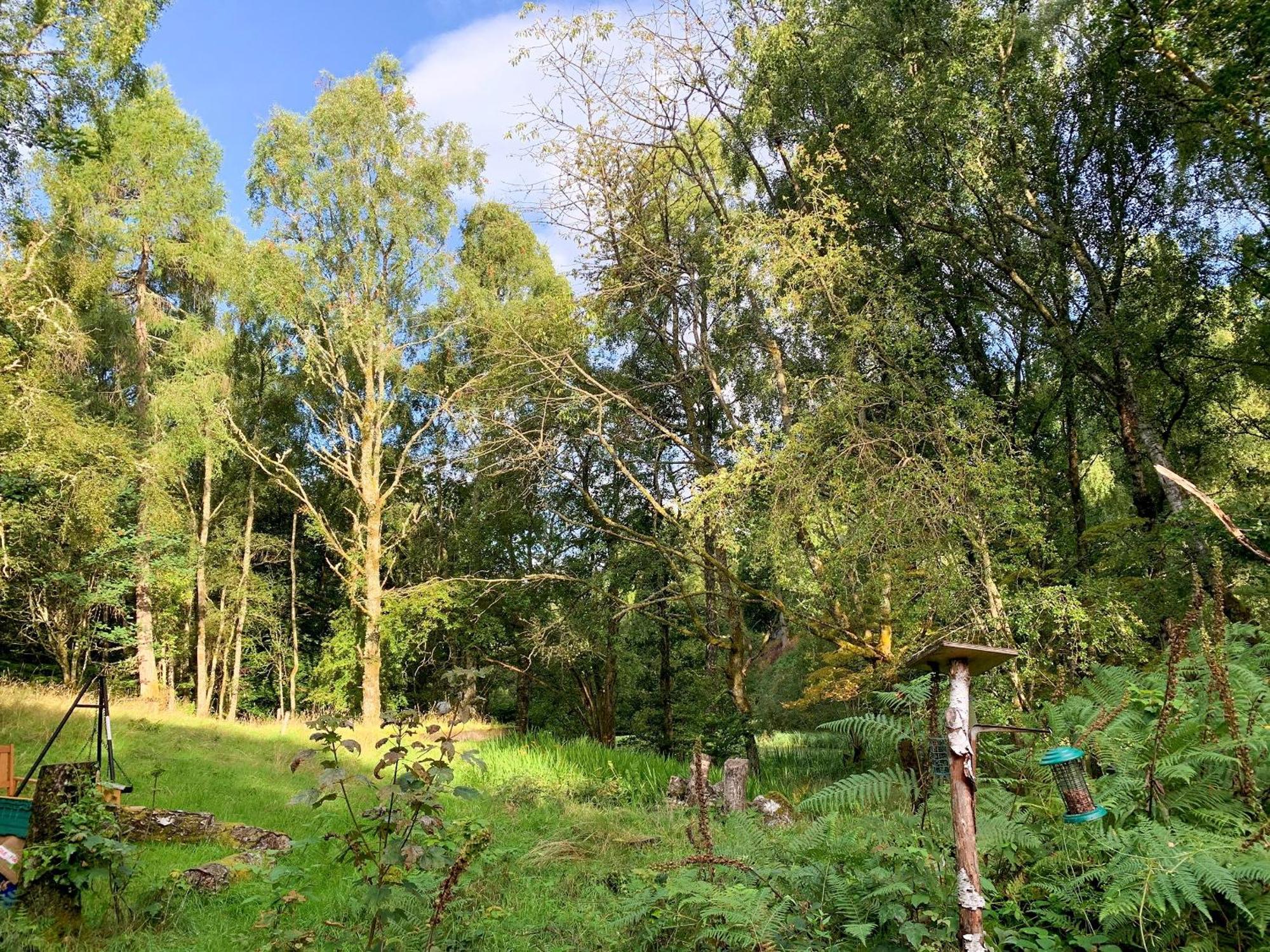 Villa Ardross Comrie Exterior foto